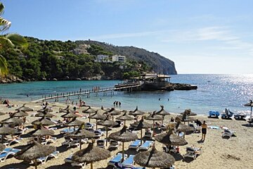 photo of beach and island