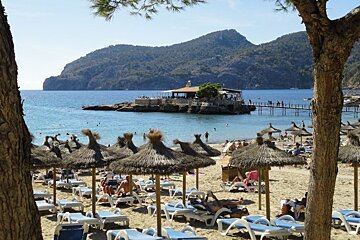 photo of beach and island