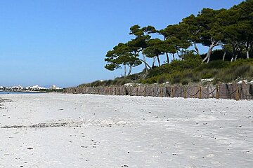 photo of a beach and sea