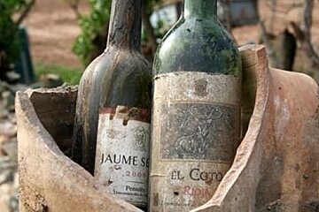 Two bottles of wine are sitting on top of a broken piece of clay