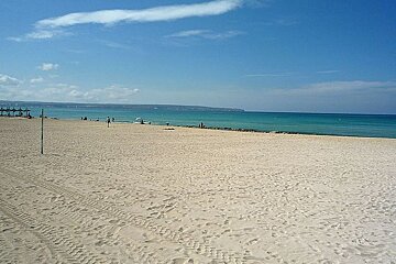 photo of a beach and sea