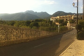 a photo of a road, a tree and a town in the background