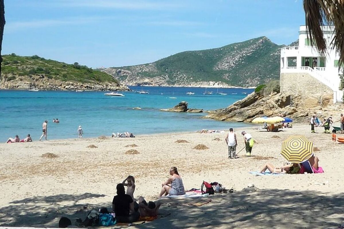 photo of a beach and sun bathers