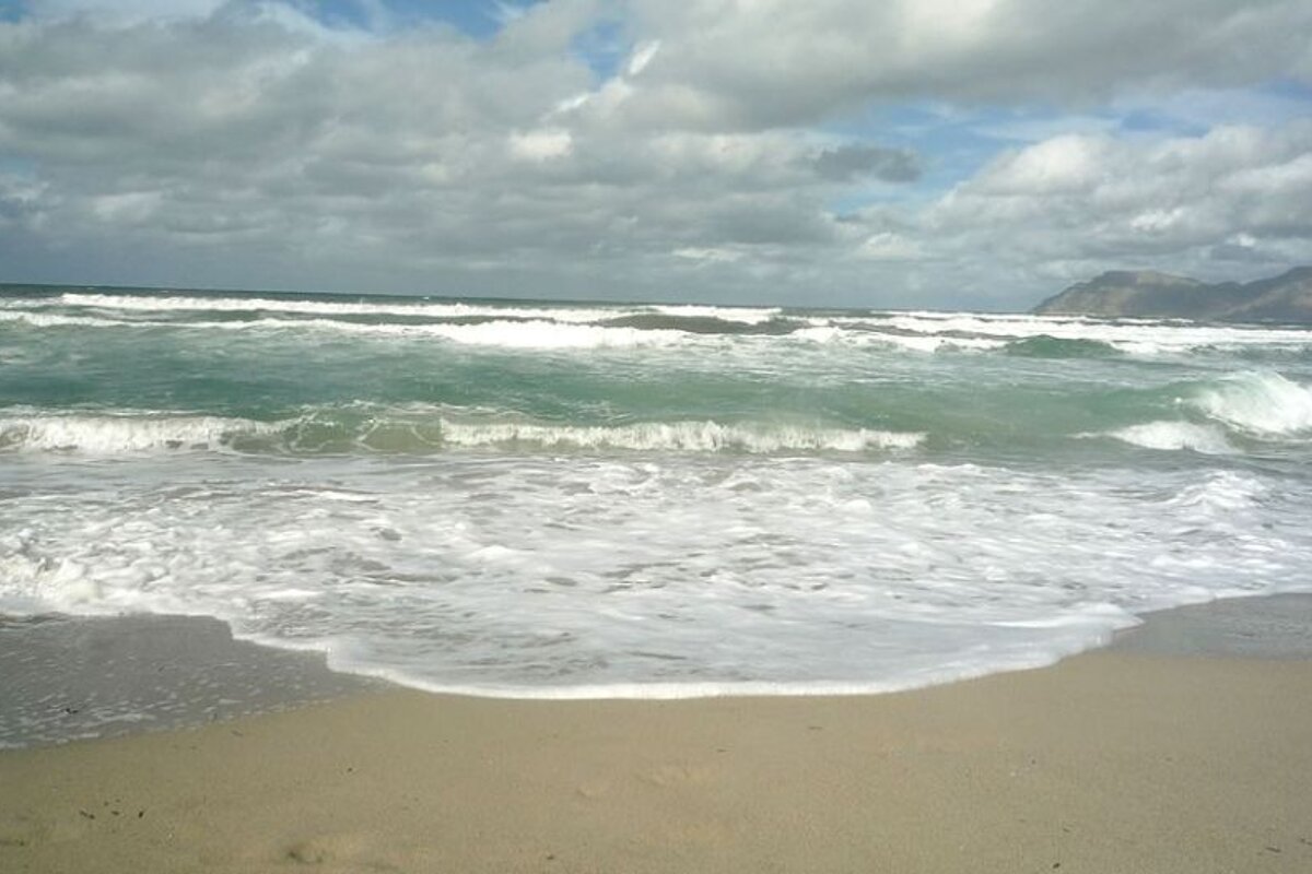 photo of a beach and sea