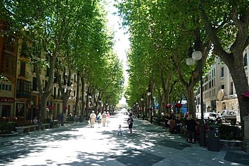 a photo of Born street palma mallorca majorca