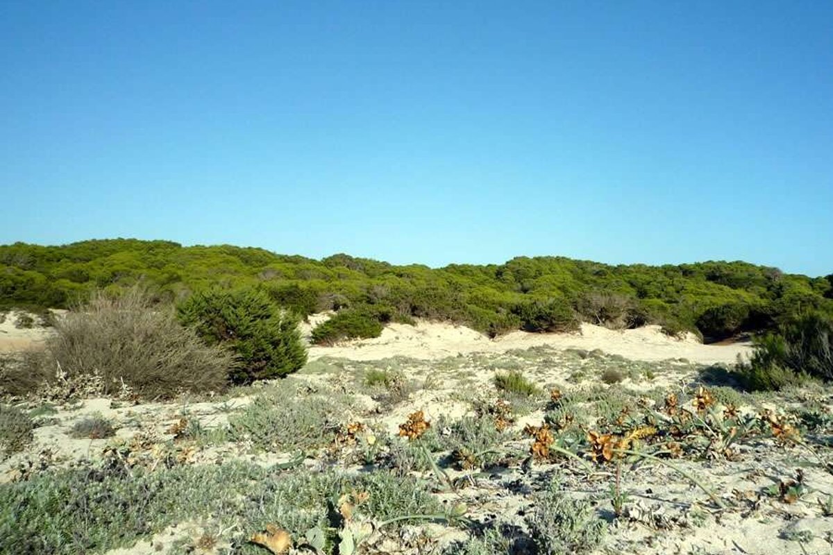 a photo of sand dunes on the south coast of majorca