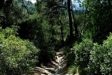 a photo of the path to sanctuary victoria mallorca majorca