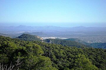 View of Sa Comuna de Bunyola, Majorca