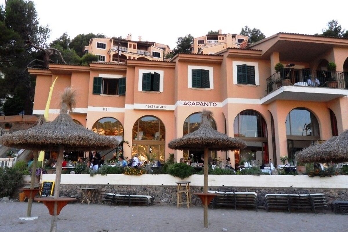 a photo of agapanto soller mallorca majorca