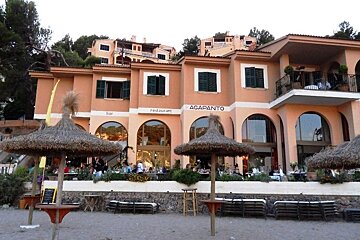 a photo of agapanto soller mallorca majorca