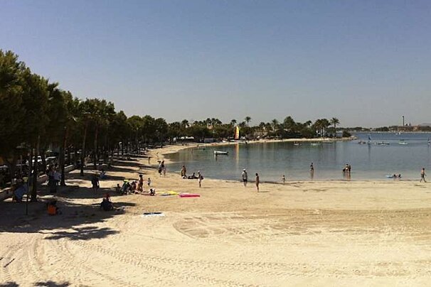 photo of a beach and sea