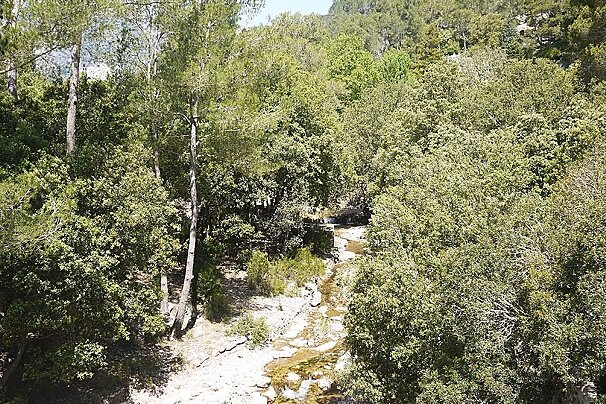 a photo of the scenery around castle rei mallorca majorca