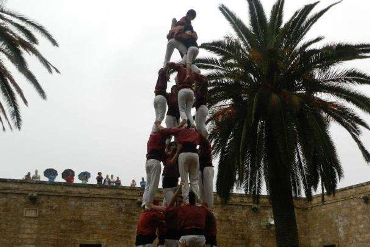 A group of people are standing on top of each other in front of a palm tree