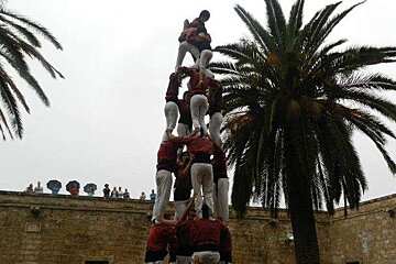 A group of people are standing on top of each other in front of a palm tree
