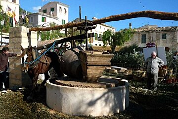 a photo of a horse and olive press in majorca