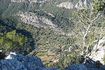 View down to the Orient Valley