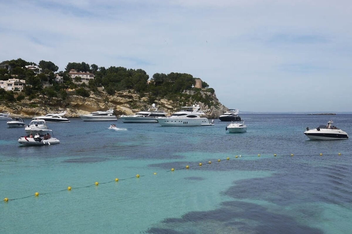 a photo of yachts at portals vells mallorca majorca