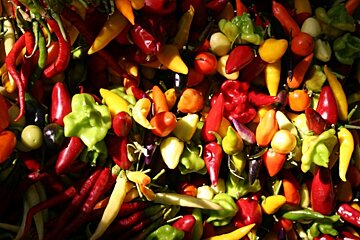 Chilli and pepper display at market in Sineu