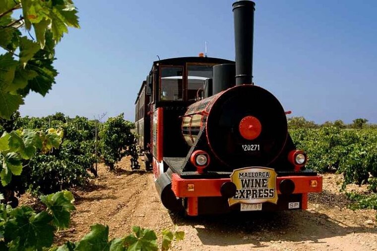 an image of the front of a train coming through the vineyards