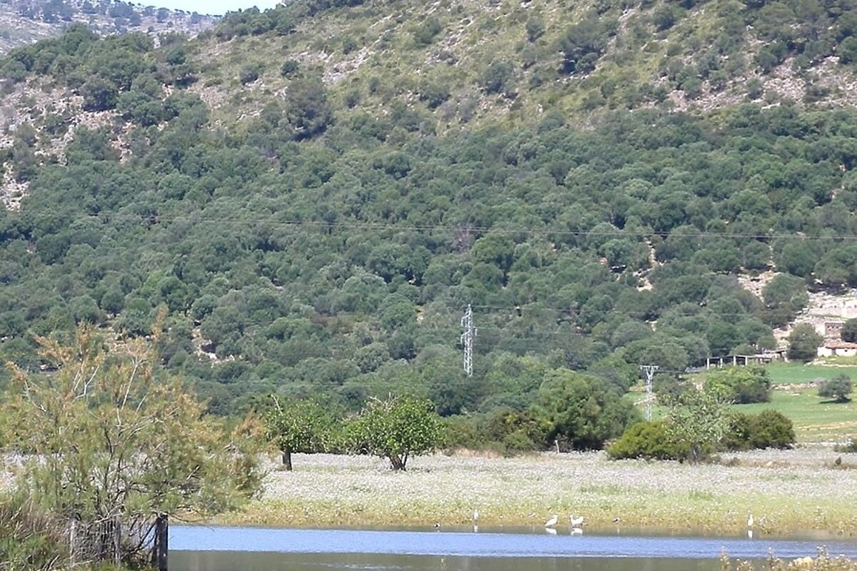 a photo of s'albufera nature reserve mallorca majorca