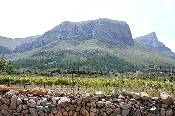 a photo of llevent national park mallorca majorca