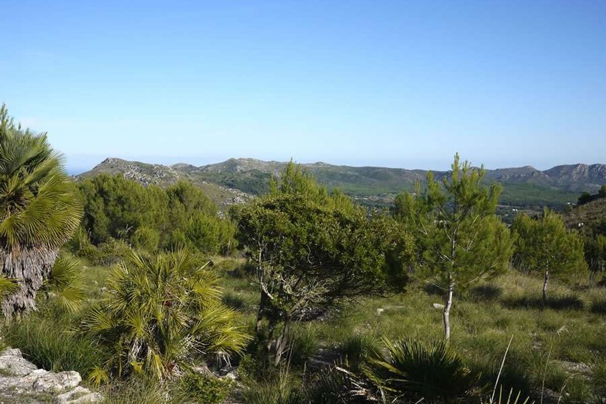 a photo of llevent national park in majorca