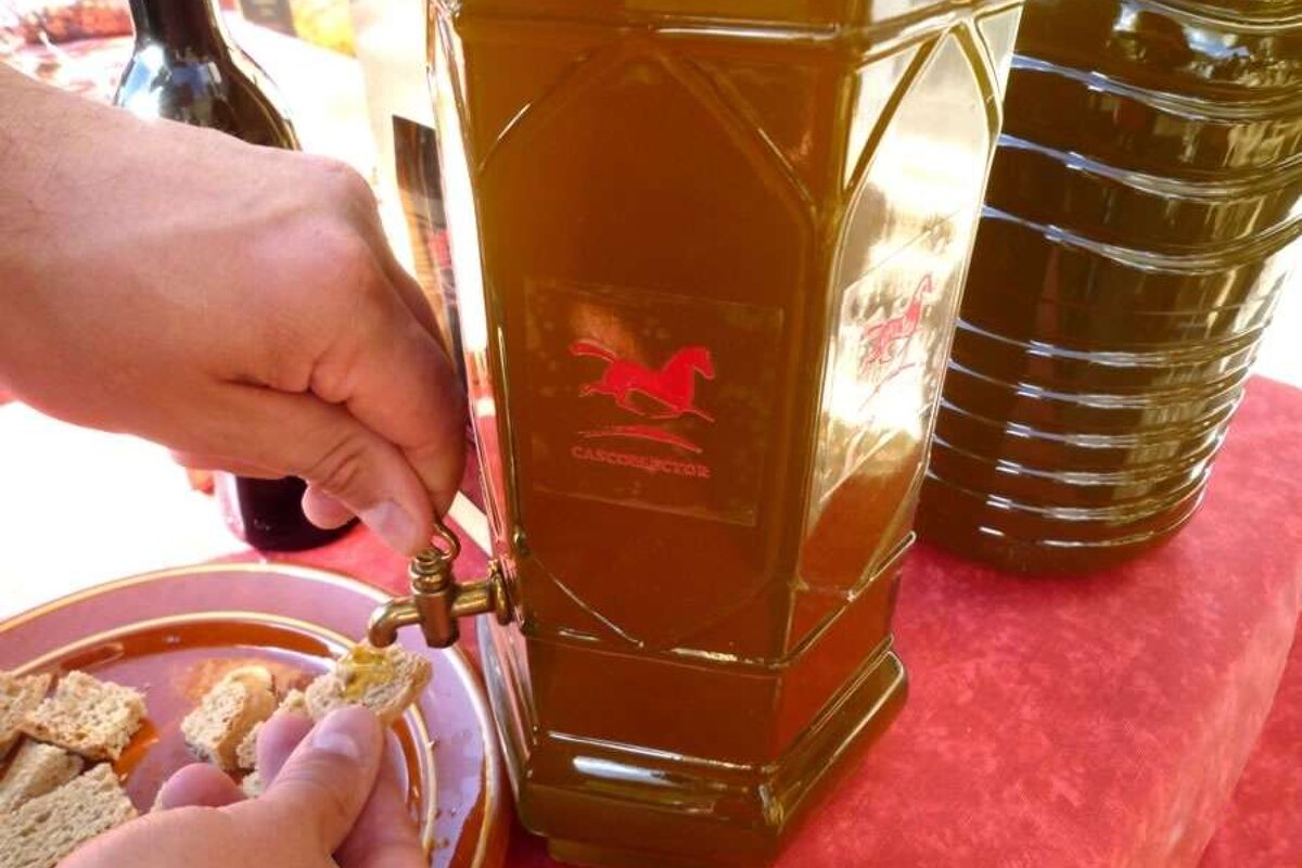 a photo of olive oil tasting on a piece of bread