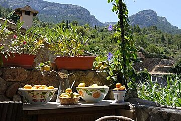 photo of bowls of oranges and lemons and mountains