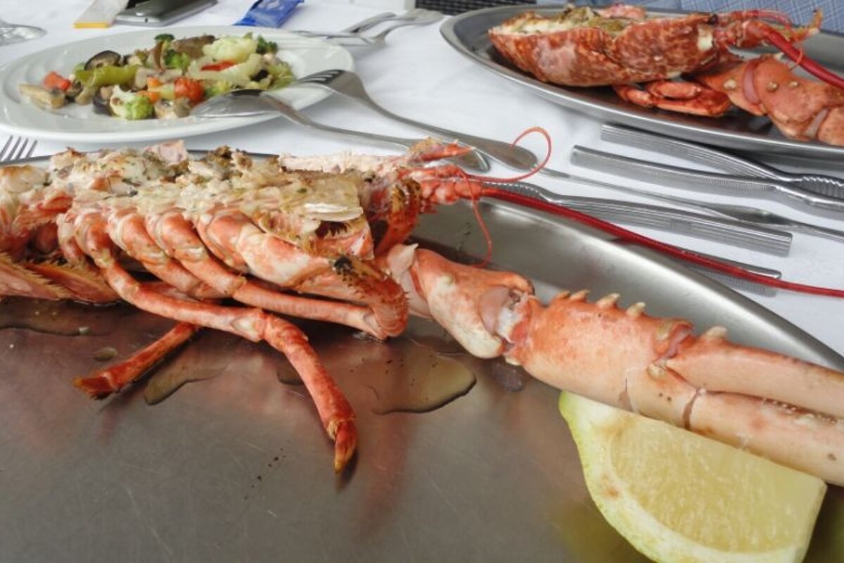 photo of half lobster