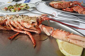 photo of half lobster