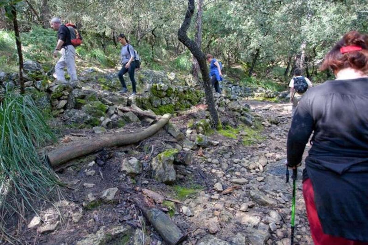 a photo of hikers walking up a path in majorca