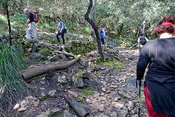a photo of hikers walking up a path in majorca