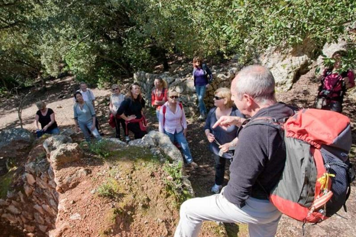 a photo of hikers in majorca's forests