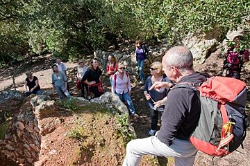 a photo of hikers in majorca's forests