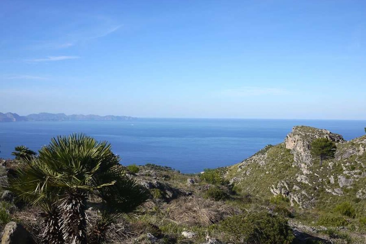 a photo of llevent national park and the sea in majorca