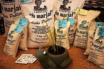 a photo f of locally grown majorcan rice