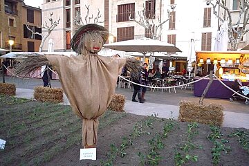 a photo of a scarecrow in pollenca sqaure