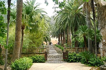 a photo of jardines alfabia mallorca majorca