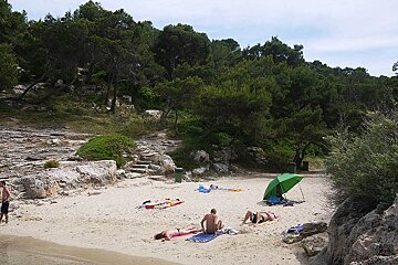 a photo of the beach at portals vells mallorca majorca