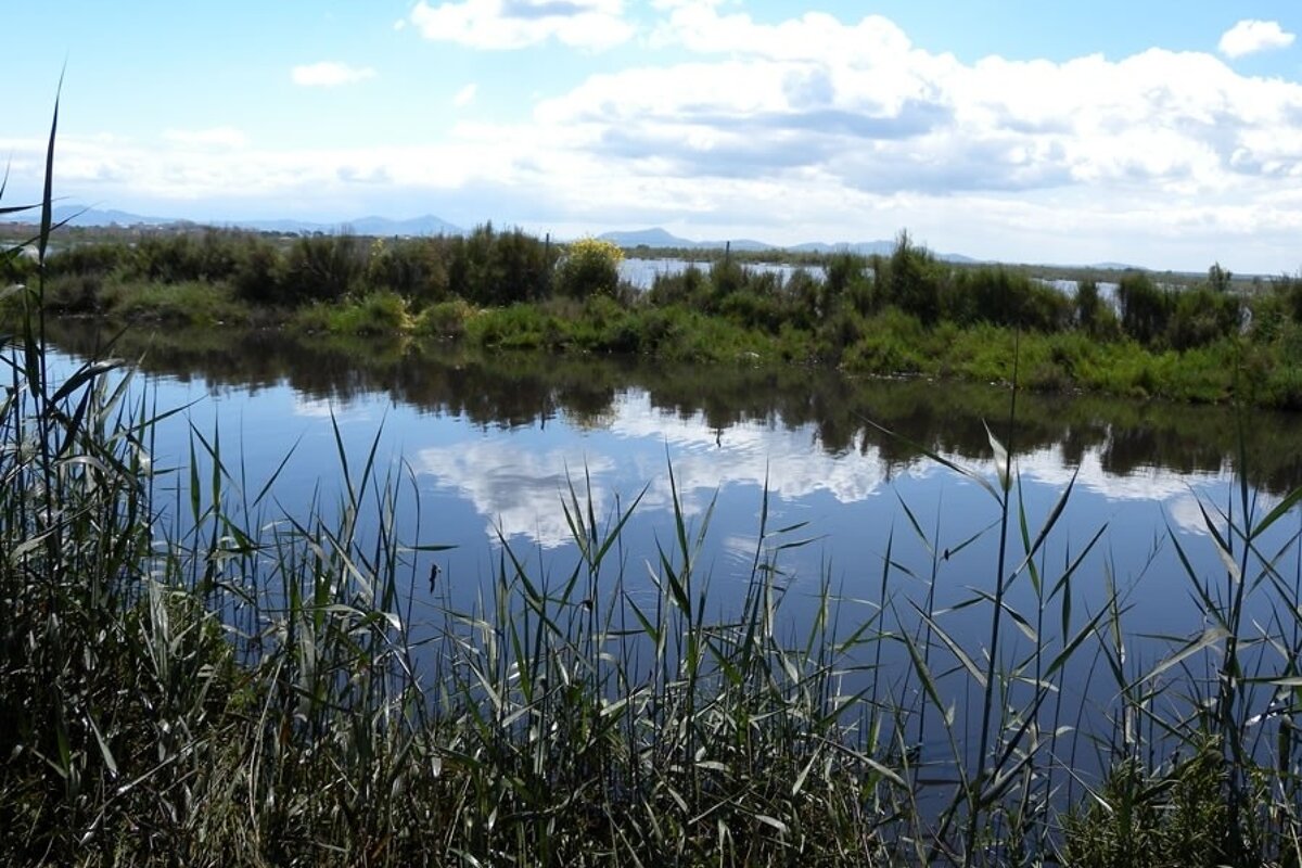 a photo of s'albufera nature reserve mallorca majorca