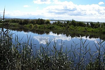 a photo of s'albufera nature reserve mallorca majorca