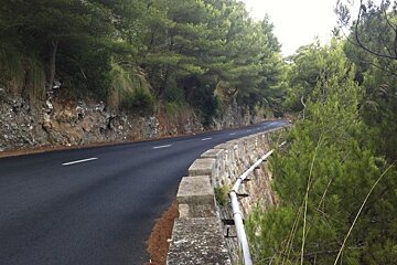 a photo of a newly tarmaced road and trees