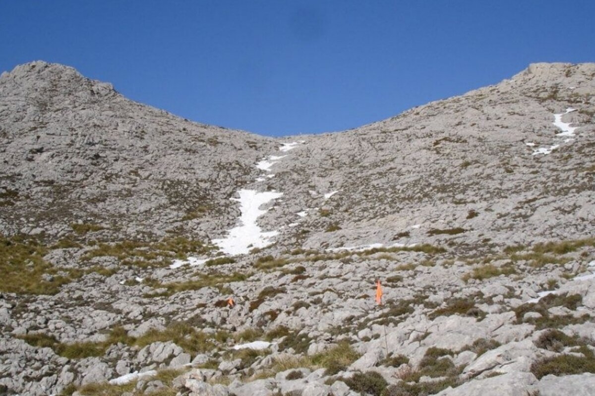 A person in an orange shirt stands on a rocky hillside