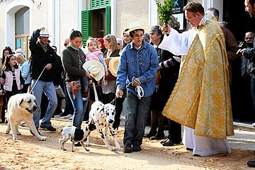 A man in a cowboy hat is walking two dalmatian dogs