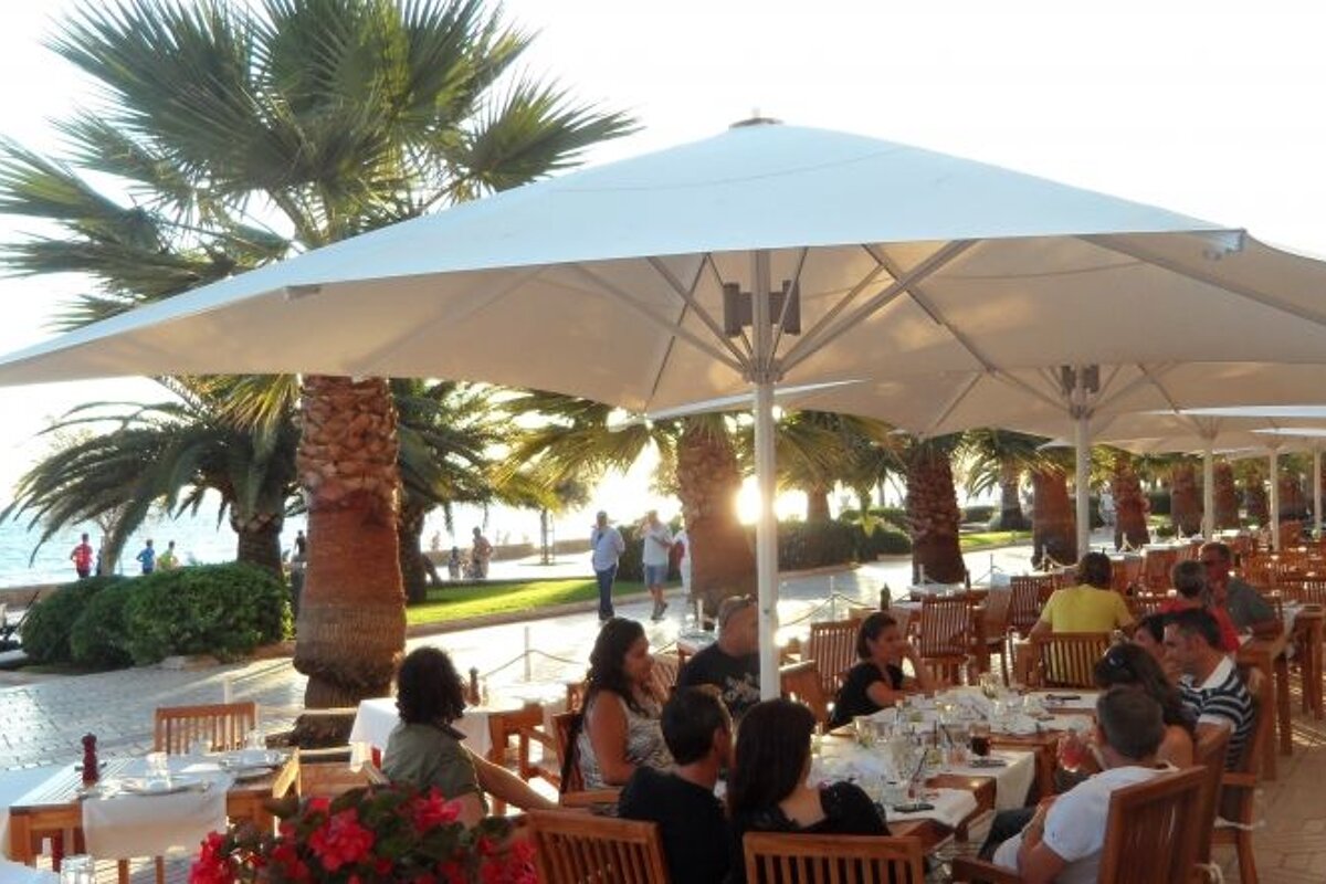 outside restaurant area with palm trees