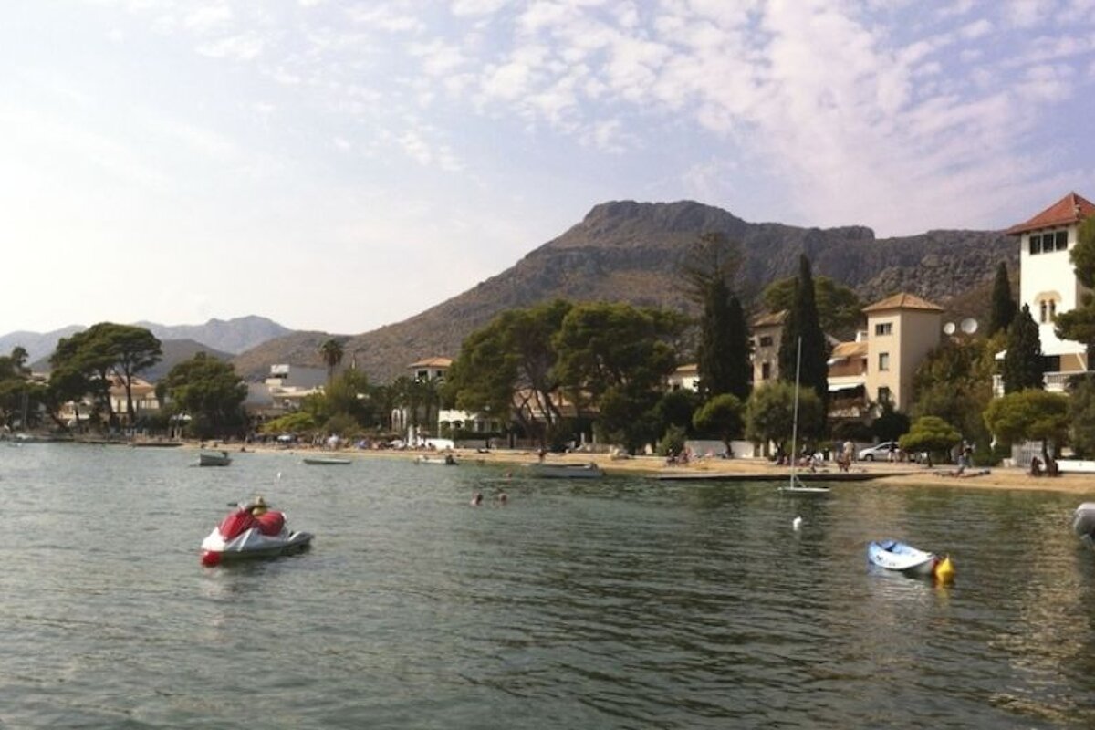 a photo of pine trees and mountains and the sea