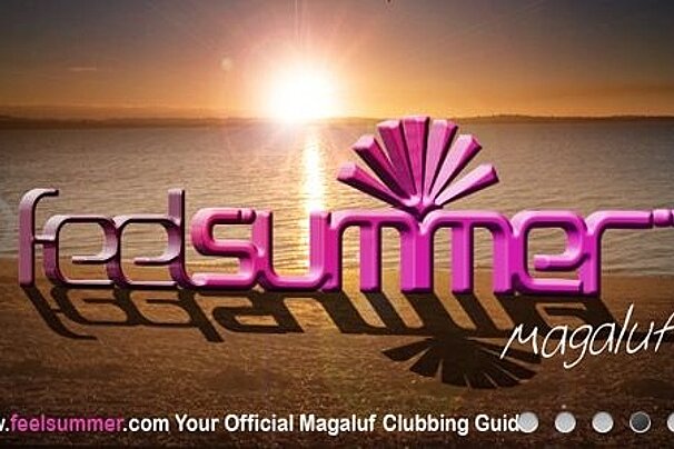 Feelsummer banner image of logo on beach at sunset