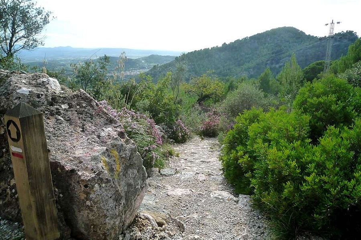 a photo of a walking path in majorca
