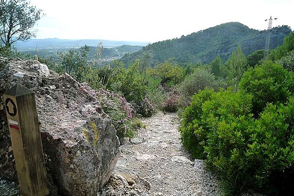 a photo of a walking path in majorca