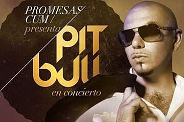 a photo of pitbull rapper
